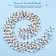 Elite Natural Sea Shell Beads Strands(SHEL-PH0001-41)-4