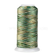 Segment Dyed Round Polyester Sewing Thread, for Hand & Machine Sewing, Tassel Embroidery, Olive Drab, 12-Ply, 0.8mm, about 300m/roll(OCOR-Z001-B-13)