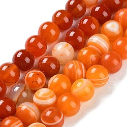 Natural Striped Agate/Banded Agate Beads Strands, Dyed, Round, Orange, 10mm, Hole: 1.2mm, about 19pcs/strand, 7.60''(19.3cm)(G-Z060-A01-C17)