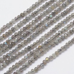 Natural Labradorite Bead Strands, Faceted Rondelle, 3x2.5mm, Hole: 1mm, about 150pcs/strand, 15.5 inch(G-I156-04-3x2.5)