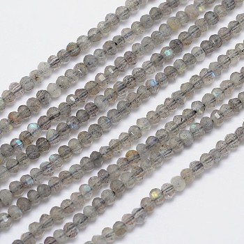 Natural Labradorite Bead Strands, Faceted Rondelle, 3x2.5mm, Hole: 1mm, about 150pcs/strand, 15.5 inch