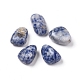 Natural Blue Spot Jasper Beads(G-K302-A10)-1
