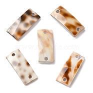 Natural Spiral Shell Connector Charms, Curved Rectangle Links, 19x8x1.8~3mm, Hole: 1.6mm(SHEL-K006-28)