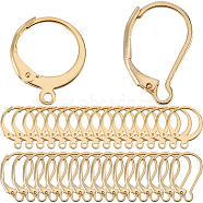 2 Style 304 Stainless Steel Leverback Earring Findings, with Loop, Real 18K Gold Plated, 14.5~16.5x10~12x2mm, Hole: 1.2mm, Pin: 1mm, 40Pcs/style, 80Pcs/box(STAS-SC0008-10G)