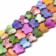 Dyed Natural Freshwater Shell Beads Strands, AB Color Plated, Butterfly, Colorful, 8~9x10~12x3mm, Hole: 0.6mm, about 51pcs/strand, 14.76 inch~15.35 inch(37.5cm~39cm)(SHEL-S276-167)