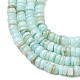 Dyed Natural Freshwater Shell Beads Strands(SH-CBA2978-05C)-2