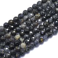 Natural Iolite Beads Strands, Round, , Faceted(128 Facets), 8mm, Hole: 1.2mm, about 49pcs/strand, 15.16 inch(38.5cm)(G-K310-A15-8mm)
