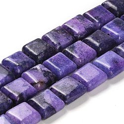 Natural Dolomite Beads Strands, Dyed, Sqaure, Indigo, 10x10x4.5mm, Hole: 1.4mm, about 40pcs/strand, 15.55 inch(39.5cm)(G-F765-C05-01)