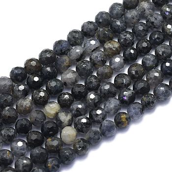 Natural Iolite Beads Strands, Round, , Faceted(128 Facets), 8mm, Hole: 1.2mm, about 49pcs/strand, 15.16 inch(38.5cm)