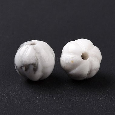 Natural Howlite Beads(G-F720-03)-2