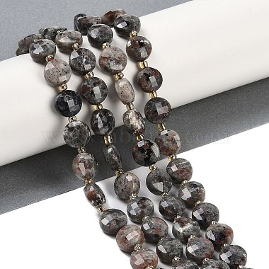 Flat Round Syenite Beads