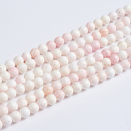Natural Pink Shell Beads Strands, Round, 2.5~3mm, Hole: 0.5mm, about 154 pcs/strand, 15.94 inch(40.5cm)(SSHEL-L016-18B)