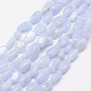 Natural Blue Lace Agate Beads Strands, Tumbled Stone, Nuggets, 6~8x4~6mm, Hole: 1mm, 15.3 inch(39cm)(G-F521-27)