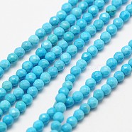 Natural Magnesite Beads Strands, Dyed & Heated, Faceted Round, 3mm, Hole: 0.8mm, about 136pcs/strand, 15.4 inch(G-A129-3mm-33)