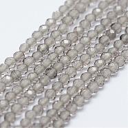 Natural Gemstone Bead Strands, Faceted, Round, 2.5mm, Hole: 0.5mm, about 178pcs/strand, 15.3 inch(390mm)(G-P270-2mm-21)