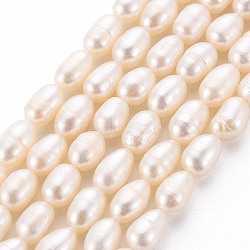 Natural Cultured Freshwater Pearl Beads Strands, Rice, Seashell Color, 7~8x5~5.5mm, Hole: 0.5mm, about 22~23pcs/strand, 7.09''(18cm)(X-PEAR-S012-41D)