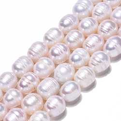 Natural Cultured Freshwater Pearl Beads Strands, Rice, Seashell Color, 10~12x9~10mm, Hole: 0.7mm, about 32~33pcs/strand, 13.39 inch(34cm)(PEAR-N012-09B)