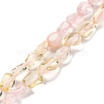 Natural Rose Quartz & Lemon Quartz Beads Strands, Nuggets, Tumbled Stone, 5~14x4~10x4~8mm, Hole: 0.8~1mm, about 45~59pcs/strand, 15.75~16.34 inch(40~41.5cm)(G-L610-B18-01)