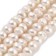 Natural Cultured Freshwater Pearl Beads Strands, Grade 3A+, Rondelle, PapayaWhip, 5~5.5mm, Hole: 0.7mm, about 43pcs/strand, 7.09~ 7.28 inch(18~18.5cm)(PEAR-C003-29D)