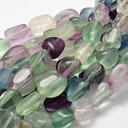 Natural Fluorite Nuggets Bead Strands, Tumbled Stone, 13~18x10~13mm, Hole: 1mm, about 21~26pcs/strand, 15.74 inch(G-L288-03)