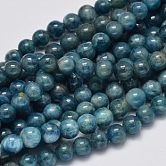 Round Natural Apatite Beads Strands, Grade AB+, 6mm, Hole: 1mm, about 64pcs/strand, 15.7 inch(G-K068-01-6mm)