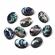 Natural Abalone Shell/Paua Shell Beads, Oval, Colorful, 14.5x10.5x3.5mm, Hole: 1mm(SSHEL-T014-09)