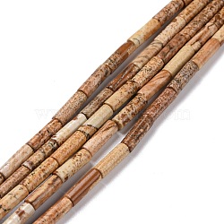 Natural Picture Jasper Beads Strands, Column, 13x4mm, Hole: 1.4mm, about 28pcs/strand, 15.18~15.39 inch(38.55~39.1cm)(G-D464-13)