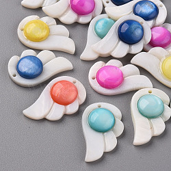 Natural Freshwater Shell Pendants, Dyed, Wing, Mixed Color, 27.5x17x5.5mm, Hole: 1.2mm(SHEL-R144-18)