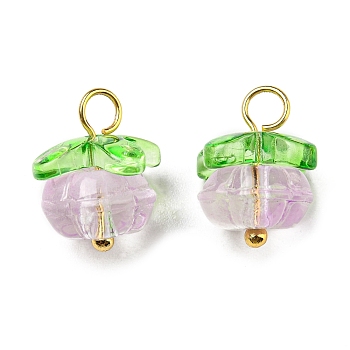 Handmade Lampwork Charms, with Golden Brass Findings, Pumpkin with Leaf Charm, Lavender, 13.5~14x12mm, Hole: 2.5~3mm