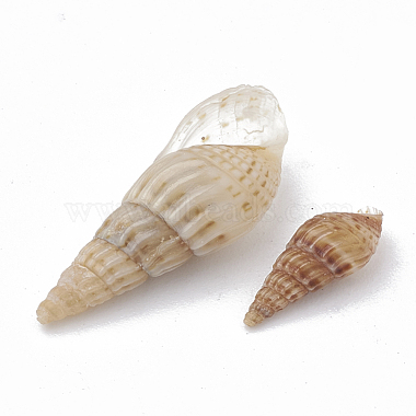 Perles en coquille de mer(SSHEL-S258-04)-2