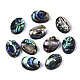 Natural Abalone Shell/Paua Shell Beads(SSHEL-T014-09)-1
