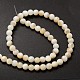 Natural Freshwater Shell Round Bead Strands(SHEL-M013-01)-2