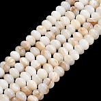 Natural Freshwater Shell Beads Strands, Rondelle, Seashell Color, 6x4mm, Hole: 0.5mm, about 97pcs/strand, 15.43 inch(39.2cm)(SHEL-C010-04A-01)