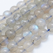 Natural Labradorite Beads Strands, Round, 4mm, Hole: 1mm, about 98pcs/strand, 15.7 inch(40cm)(G-J373-14-4mm)