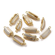 Natural Trochus Shell Pendants, with Brass Findings, Rectangle Charms, Golden, 22~28x6~11x4.5~8mm, Hole: 1.8mm(SSHEL-H071-03G)