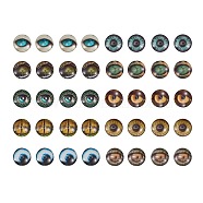 Glass Cabochons, Half Round/Dome with Animal Eye Pattern, Mixed Color, 17.9x5mm, 10 colors, 4pcs/color, 40pcs/box(GLAA-SZ0001-04)