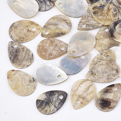 Natural Akoya Shell Charms, Mother of Pearl Shell Pendants, teardrop, Tan, 13x8.5~9.5x1mm, Hole: 1.4mm(SHEL-T012-40)