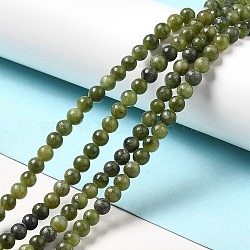 Natural Taiwan Jade Beads, Round, Olive, about 4mm in diameter, hole: 0.8mm, about 88pcs/strand, 15 inch(X-Z0NCT011)