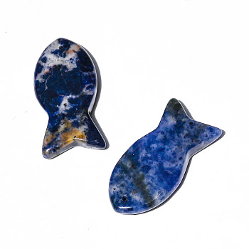 Natural Lapis Lazuli Pendants, Fish Charms, 38x20mm