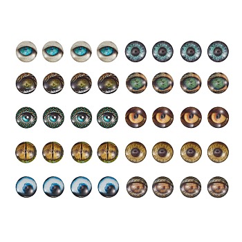 Glass Cabochons, Half Round/Dome with Animal Eye Pattern, Mixed Color, 17.9x5mm, 10 colors, 4pcs/color, 40pcs/box
