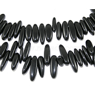 Natural Black Stone Chips Beads Strands, 12~22x5~7mm, Hole: 1mm, about 16 inch(X-G416-A15)