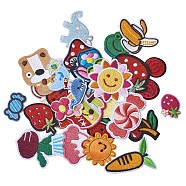 Computerized Embroidery Cloth Iron On/Sew On Patches, Costume Accessories, Appliques, Mixed Shapes, Mixed Color, 68x35x1.5mm(AJEW-MSMC005-12)