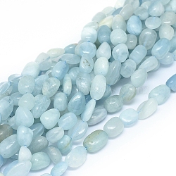Natural Aquamarine Beads Strands, Chip, 7~14x7~8x3.5~7mm, Hole: 0.7mm, about 44pcs/Strand, 15.75 inch(40cm) (X-G-D0004-A02-04)
