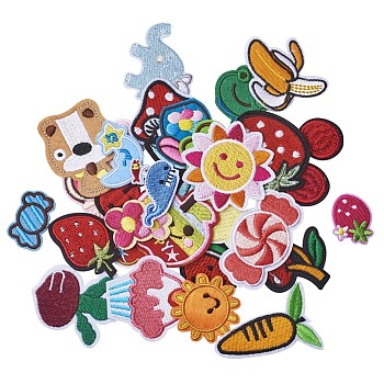 Computerized Embroidery Cloth Iron On/Sew On Patches, Costume Accessories, Appliques, Mixed Shapes, Mixed Color, 68x35x1.5mm