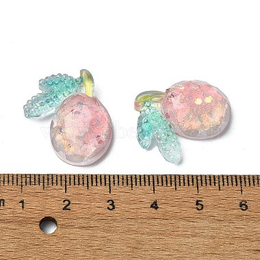 Fruit Transparent Epoxy Resin Decoden Cabochons(CRES-I030-21B)-3