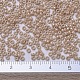 Миюки круглые бусины рокайль(X-SEED-G007-RR0593)-4