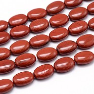 Natural Red Jasper Flat Oval Bead Strands, 14x10x6mm, Hole: 1mm, about 29pcs/strand, 15.7 inch(G-M206-25)