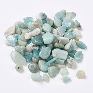 Natural Flower Amazonite Beads, Undrilled/No Hole, Chips, 7~21x6~8x3~6mm, about 100g/bag(G-I221-26-1)
