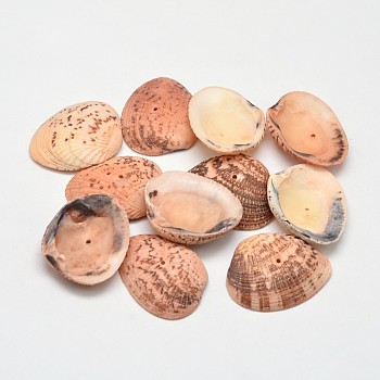 Dyed Natural Shell Beads, Sandy Brown, 32~37x20~29x8~10mm, Hole: 1mm, about 100pcs/500g
