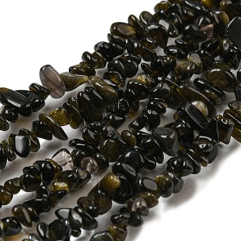 Natural Golden Sheen Obsidian Beads Strands, Chip, Grade A, 4~12x3~4x3~5mm, Hole: 0.7mm, 31.50''(80cm)